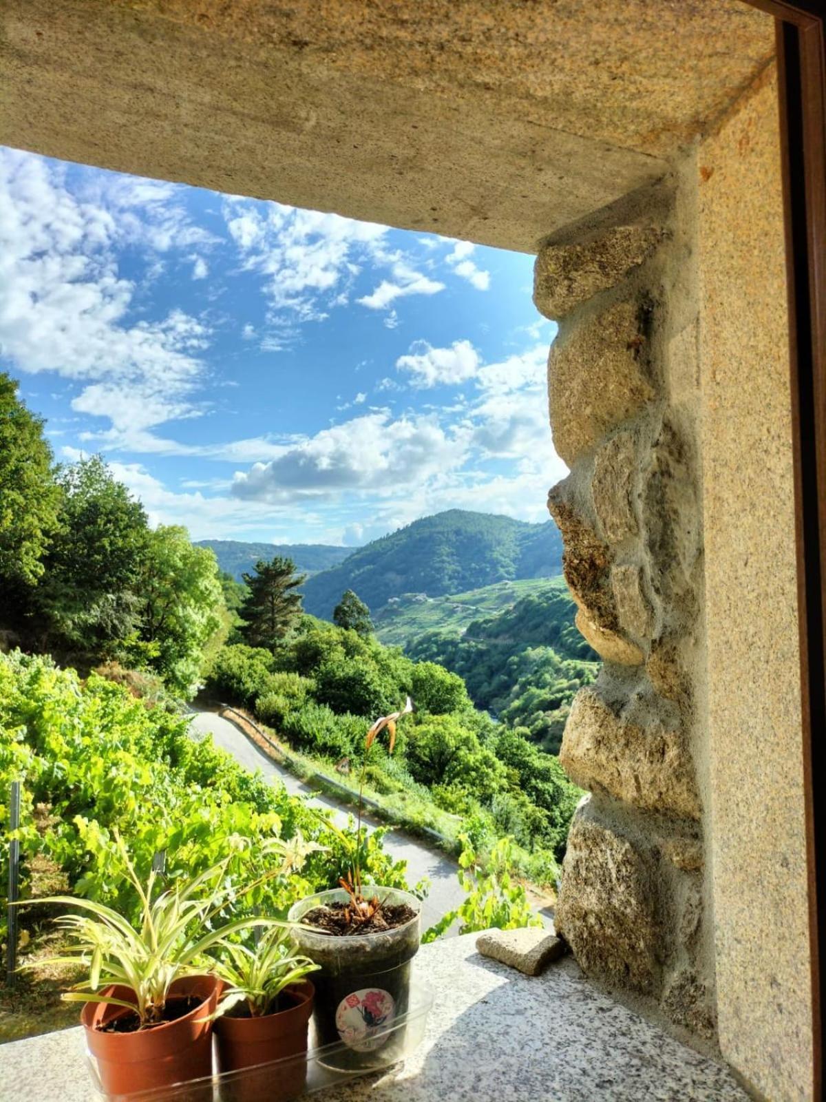 Вілла Quinta De Sito Чантада Екстер'єр фото